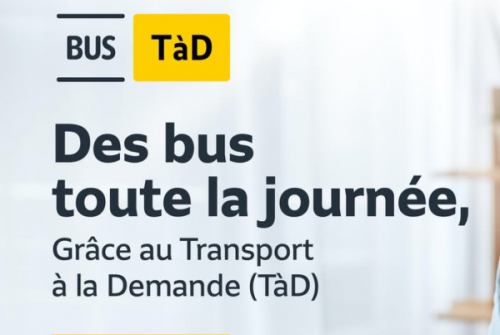 Transport à la demande (TàD)