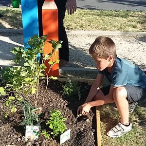 PLANTATIONS DES CARRES POTAGERS DU CME