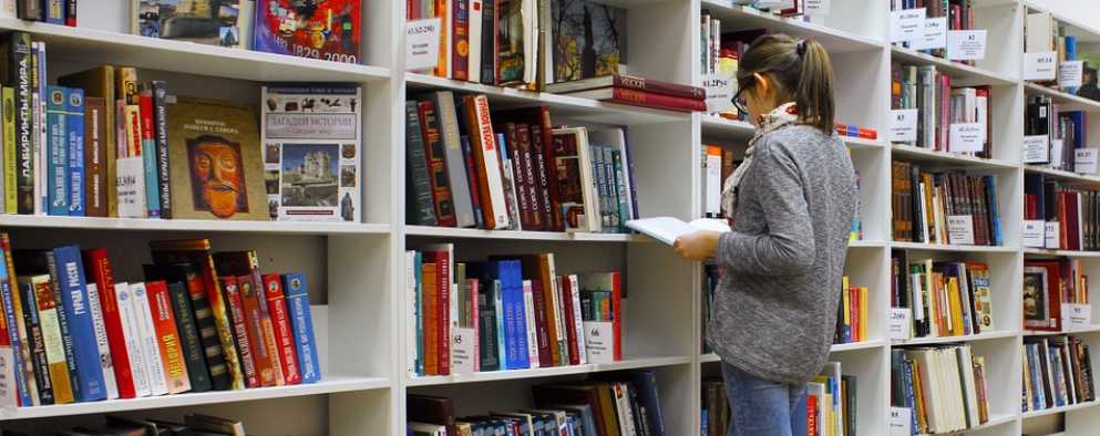 Bibliothèque Bibliothèque